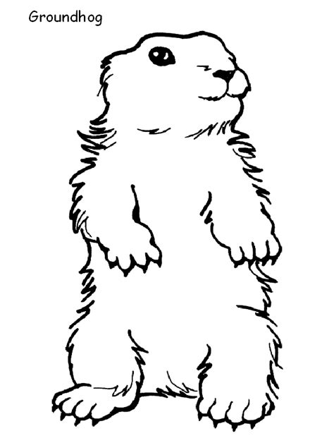 groundhog coloring page animals town animals color sheet