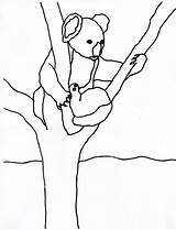 Koala Coloring Pages Tree Kids Eucalyptus Printable Animal Children sketch template