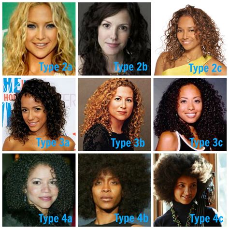 complete hair type chart guide   system human hair exim