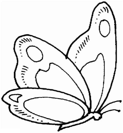 cute butterfly coloring pages butterfly coloring page butterfly