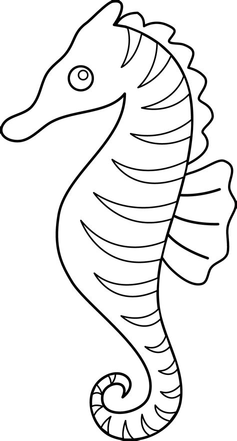 sea horse outline   sea horse outline png images