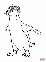 Penguin Macaroni Silhouetten sketch template