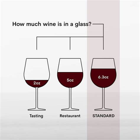 Wine Glasses Size Guide David Simchi Levi