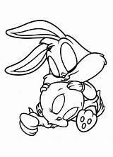Looney Tunes Piu Bugs Junaci Bebe Desenho Tweety Pernalonga Bojanke Getdrawings Colorindo sketch template
