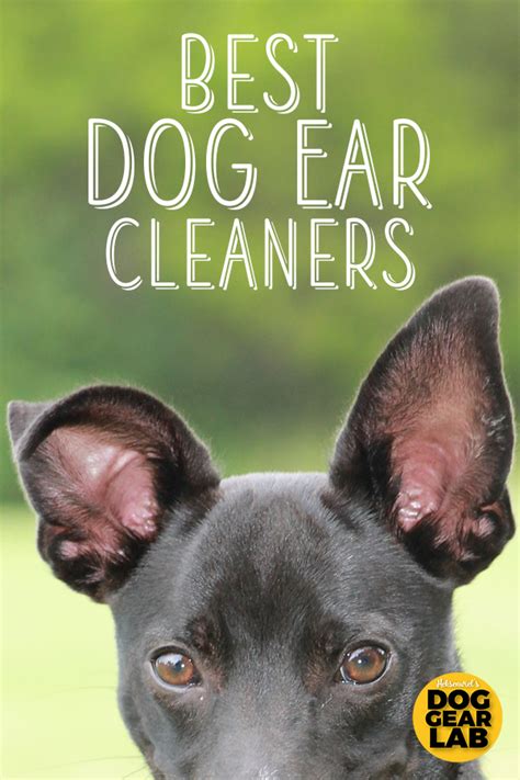 dog ear cleaners dog ear cleaner dog ear cleaning solution