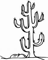 Cactus Coloring Pages Spine Saguaro Drawing Color Getcolorings Clipartmag Print sketch template