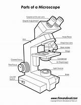 Microscope Timvandevall sketch template