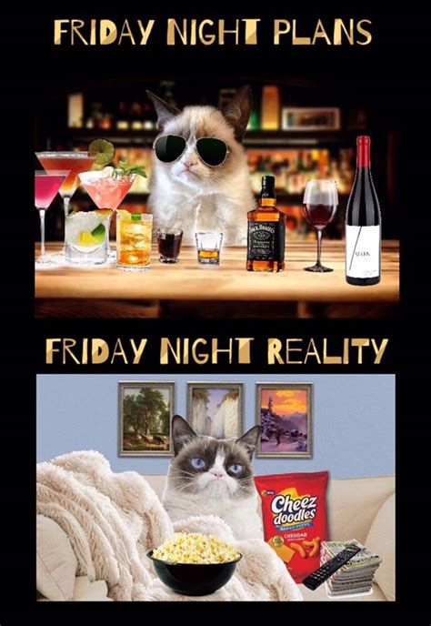 Friday Night Plans Vs Friday Night Reality Grumpy Cat