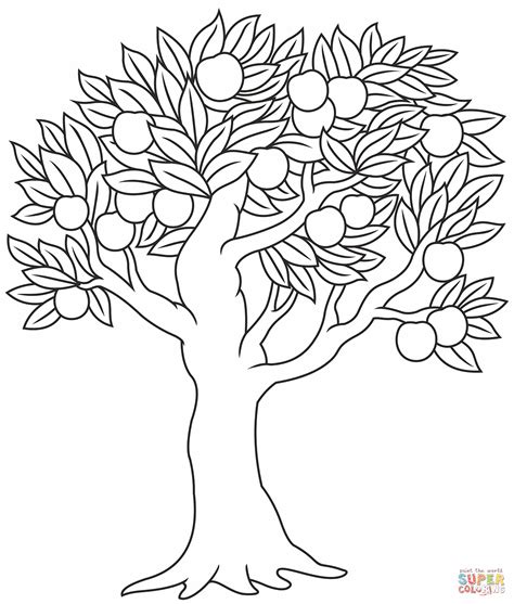 apple tree coloring page  printable coloring pages