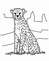 Cheetah Zoo Coloring Totem Pole Drawing Kids Netart Getdrawings Color sketch template