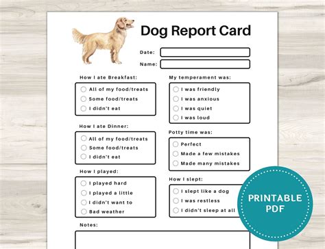 printable dog daycare report card template printable templates