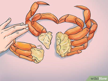 clean dungeness crab  steps  pictures wikihow