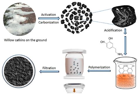 full text activated carbon  biomass sustainable sources