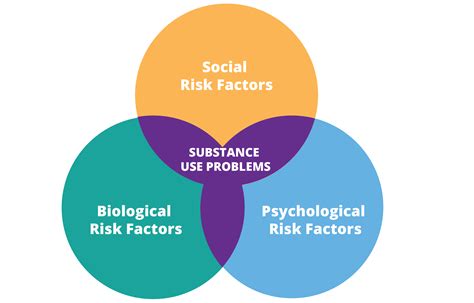 substance  disorders  biopsychosocial phenomemon exploring