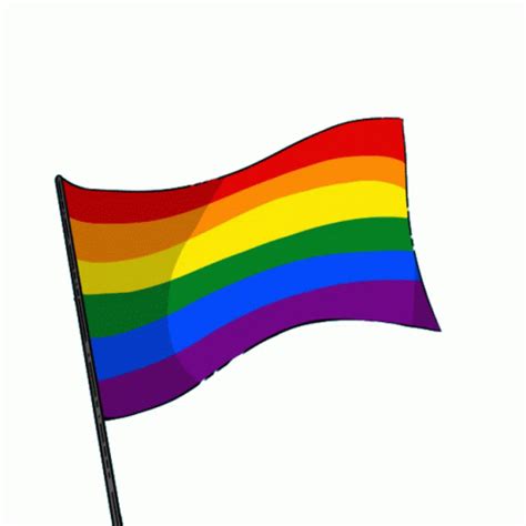 gay pride flag  binary sticker gay pride flag  binary pride