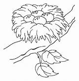 Nest Coloring Bird Pages Eggs Drawing Printable Colouring Color Animal Getdrawings Safest Place Getcolorings Choose Board Tocolor 96kb 616px sketch template