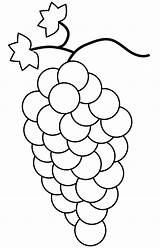 Uva Grapes Mewarnai Anggur Grappolo Uvas Stampare Colouring Moldes Lavoretto Autunno Untuk Paud sketch template
