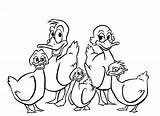 Patos Ducks Dibujos Pato Gatos Imagenesparadibujar Loros Hijos Nadando Anipedia Sponsored sketch template
