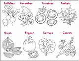 Vegetais Legumes Salade Celery Preschool sketch template
