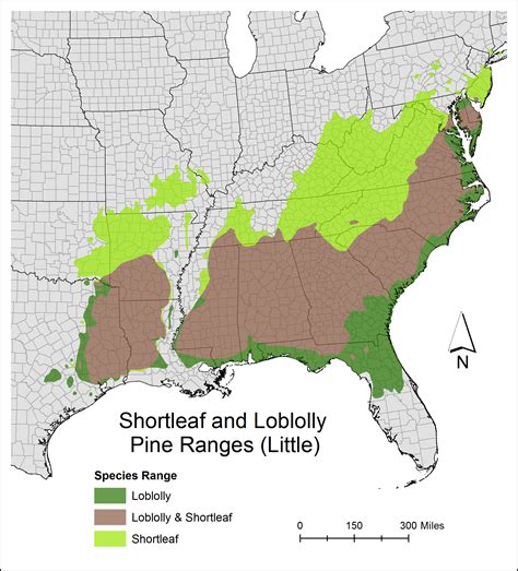 shortleaf pine  relevant maps  shortleaf pine initiative