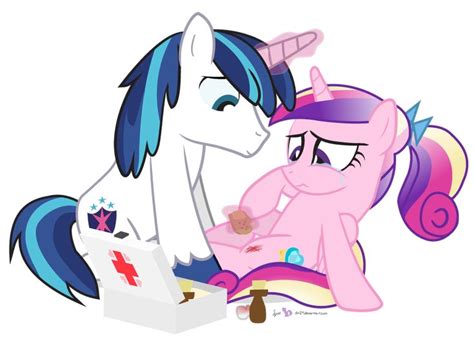 17 Best Images About Princess Cadence And Shining Armor On