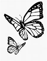 Butterfly Coloring Pages Monarch Butterflies Drawing Tattoo Stencil Flying Side Realistic Designs Outline Stencils Color Vector Printable Print Tattoos Clipart sketch template