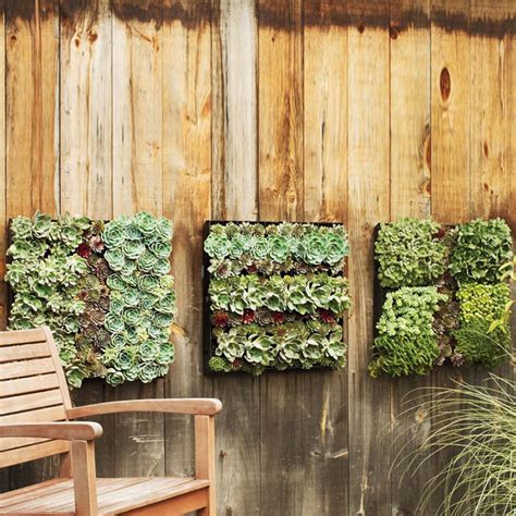 outdoor living wall planters  green head