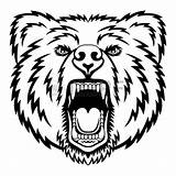 Bear Face Drawing Tattoo Tribal Grizzly Stencil Head Draw Visit Angry sketch template