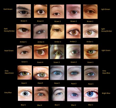 human eye color chart  names images pictures becuo