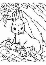 Tiere Hasenfamilie Malvorlagen Hasen Kaninchen Pferde Reiterin Inspirierend Okanaganchild Pferd Hase Frisch Druckvorlage Chipmunks Bauernhof Igel Windowcolor sketch template