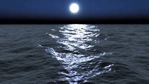 image result  moonlit night moonlight moon night