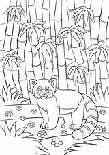 Panda Mignon Kleurplaten Schattige Forêt Coloration Stockillustratie sketch template