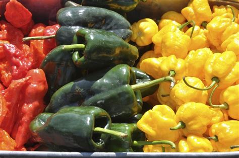 how to roast poblano peppers livestrong