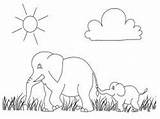 Coloring Realistic Pages Elephant Gajah Afrika Wild Papan Pilih Getdrawings sketch template
