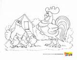 Kury Kolorowanka Kolorowanki Dzieci Malowanki Zwierzęta Wsi Farmie Zwierzeta Malowanka Gospodarskie Domowe Gospodarstwie Drukowania Jajka sketch template