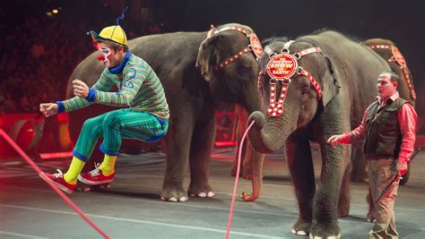 circus elephants final