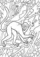 Monkey Coloring Pages Tulamama sketch template