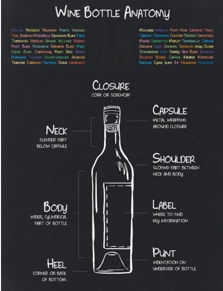 anatomy of a wine bottle from closure to heel wine
