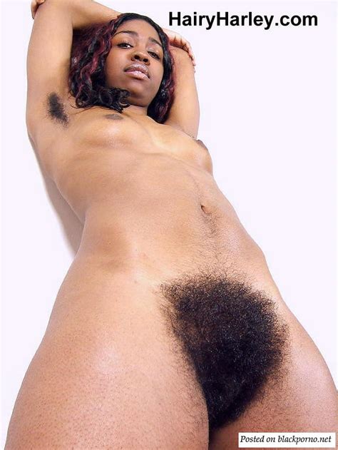 Huge Black Bush Hairy Pussy Sorted By Position Luscious