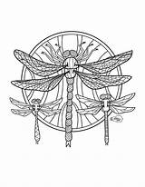 Dragonfly Dragonflies Mandala Flies Butterflies sketch template
