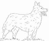 Sheepdog Croatian sketch template