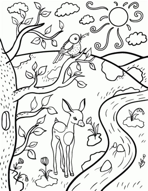 spring coloring pages printable spring coloring pages