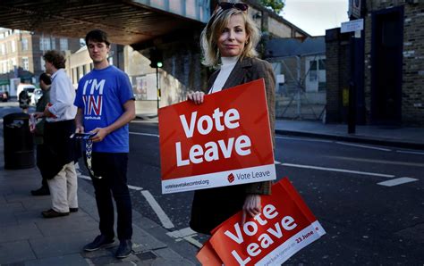 disgust  elites  fear   drove  brexit vote  nation