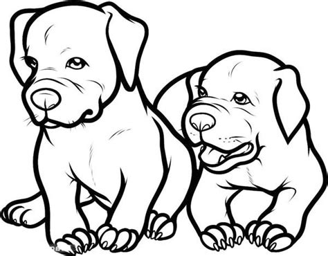 adorable baby pitbull dog coloring page coloring sky