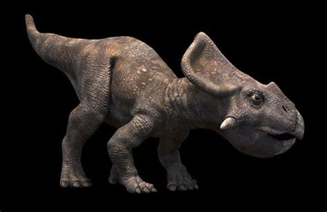 Protoceratops Walking With Dinosaurs Wiki Fandom