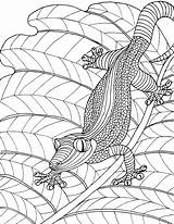 Mosaik Eckersleys Malvorlagen Reptile sketch template