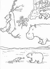 Bear Polar Coloring Pages Little Lars Kleine Ijsbeer Kids Picgifs Arctic Kleurplaten Fun Coloringpages1001 Info Book Adventure Index sketch template