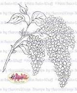 Lilac Clusters Digistamp Stem Lupin Cards sketch template