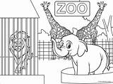 Zoo Kindergarten Coloringbay sketch template