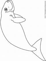Dugong Coloring sketch template